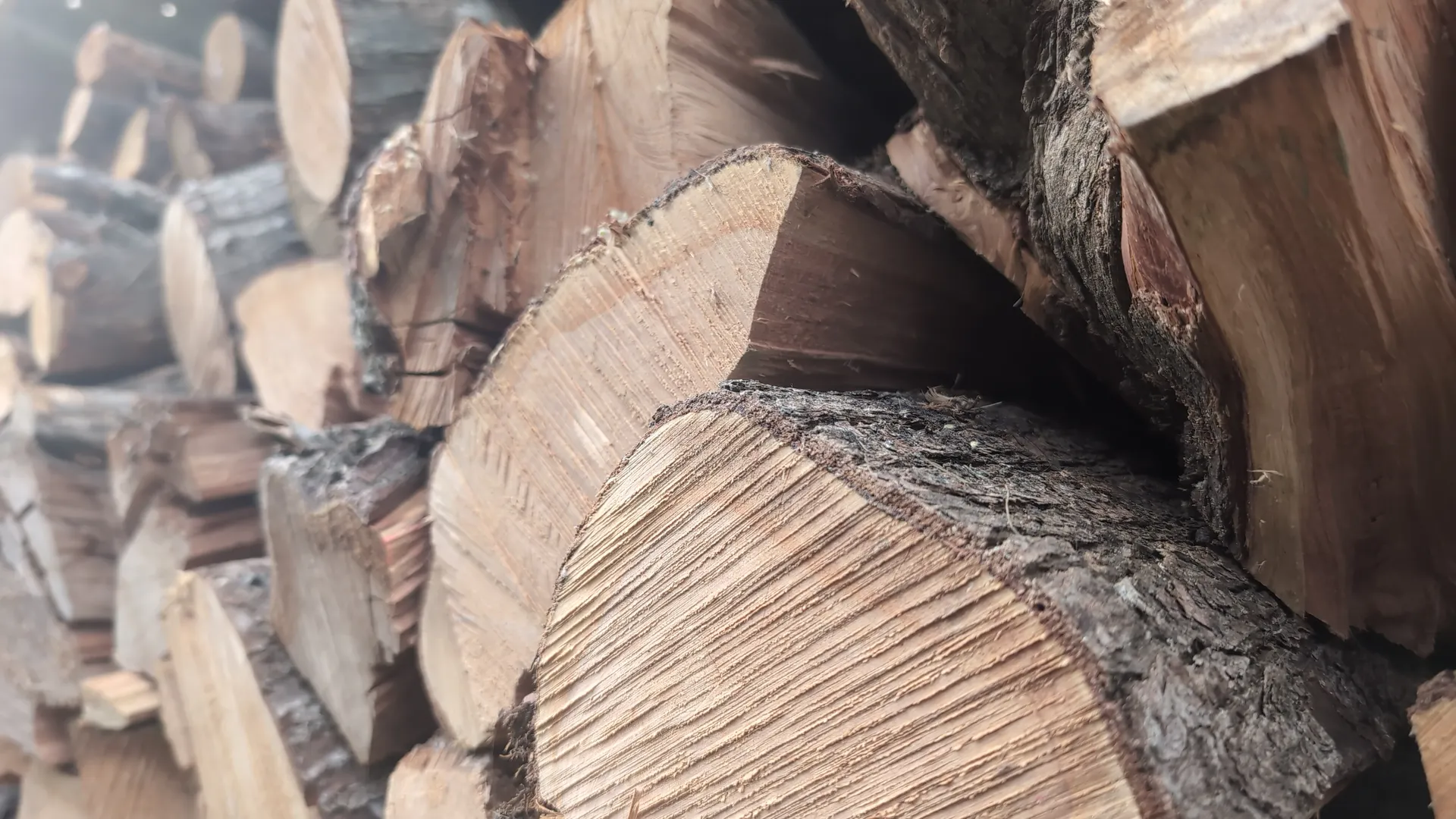 Bushblock — Straight from the block. | Far North NZ